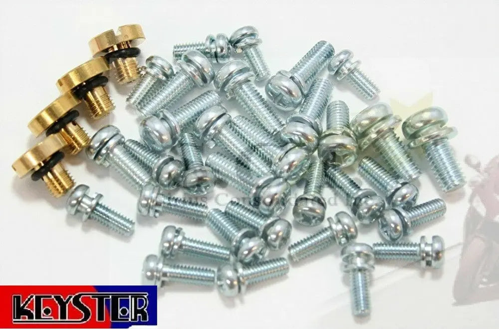 Keyster K-1451SS carburetor kit contents
